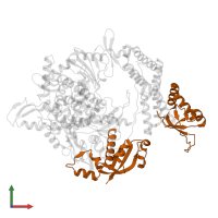 Non-structural protein 8 in PDB entry 7bw4, assembly 1, front view.