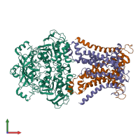 Hetero tetrameric assembly 1 of PDB entry 7cad coloured by chemically distinct molecules, front view.