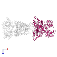 ABC transporter domain-containing protein in PDB entry 7cag, assembly 1, top view.