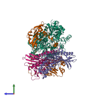 Hetero pentameric assembly 1 of PDB entry 7ccc coloured by chemically distinct molecules, side view.