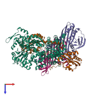 Hetero pentameric assembly 1 of PDB entry 7ccc coloured by chemically distinct molecules, top view.