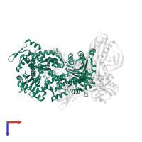 Actin, alpha skeletal muscle in PDB entry 7ccc, assembly 1, top view.