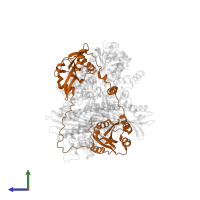 Twinfilin-1 in PDB entry 7ccc, assembly 1, side view.