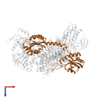 Twinfilin-1 in PDB entry 7ccc, assembly 1, top view.