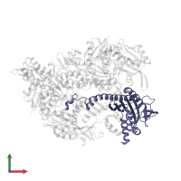 F-actin-capping protein subunit alpha-1 in PDB entry 7ccc, assembly 1, front view.