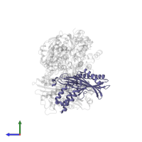 F-actin-capping protein subunit alpha-1 in PDB entry 7ccc, assembly 1, side view.