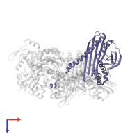 F-actin-capping protein subunit alpha-1 in PDB entry 7ccc, assembly 1, top view.