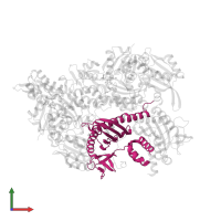 F-actin-capping protein subunit beta in PDB entry 7ccc, assembly 1, front view.