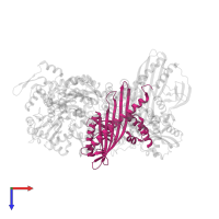 F-actin-capping protein subunit beta in PDB entry 7ccc, assembly 1, top view.