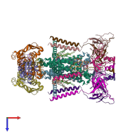 PDB entry 7cge coloured by chain, top view.