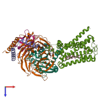 Hetero pentameric assembly 1 of PDB entry 7ckx coloured by chemically distinct molecules, top view.