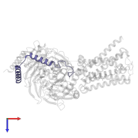 Guanine nucleotide-binding protein G(I)/G(S)/G(O) subunit gamma-2 in PDB entry 7ckx, assembly 1, top view.