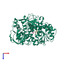 Monomeric assembly 3 of PDB entry 7cnq coloured by chemically distinct molecules, top view.