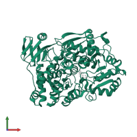 3-isopropylmalate dehydratase large subunit in PDB entry 7cnq, assembly 1, front view.