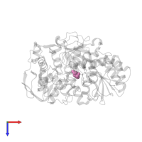 (2~{S},3~{R})-3-oxidanylpyrrolidine-2-carboxylic acid in PDB entry 7cnq, assembly 1, top view.