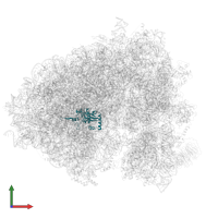 Large ribosomal subunit protein eL15 in PDB entry 7cpu, assembly 1, front view.