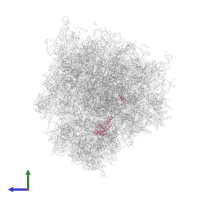 Small ribosomal subunit protein eS17 in PDB entry 7cpu, assembly 1, side view.