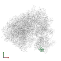 Small ribosomal subunit protein eS19 in PDB entry 7cpu, assembly 1, front view.