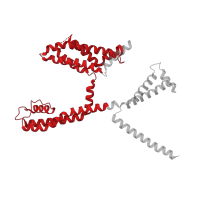 The deposited structure of PDB entry 7cr3 contains 4 copies of Pfam domain PF00520 (Ion transport protein) in Potassium voltage-gated channel subfamily KQT member 2. Showing 1 copy in chain A.