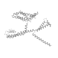 The deposited structure of PDB entry 7cr3 contains 4 copies of Pfam domain PF16642 (Unstructured region on Potassium channel subunit alpha KvLQT2) in Potassium voltage-gated channel subfamily KQT member 2. Showing 1 copy in chain A (this domain is out of the observed residue ranges!).