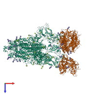 Hetero hexameric assembly 1 of PDB entry 7ct5 coloured by chemically distinct molecules, top view.
