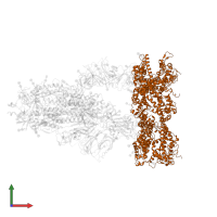 Processed angiotensin-converting enzyme 2 in PDB entry 7ct5, assembly 1, front view.