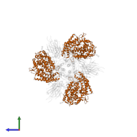 Processed angiotensin-converting enzyme 2 in PDB entry 7ct5, assembly 1, side view.