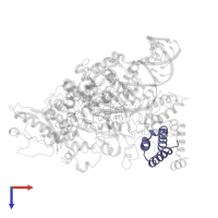 Non-structural protein 7 in PDB entry 7ctt, assembly 1, top view.