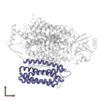 Cytochrome bo(3) ubiquinol oxidase subunit 3 in PDB entry 7cub, assembly 1, front view.