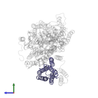 Cytochrome bo(3) ubiquinol oxidase subunit 3 in PDB entry 7cub, assembly 1, side view.