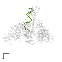 RNA (26-MER) in PDB entry 7cxm, assembly 1, top view.