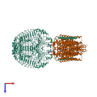 Hetero tetrameric assembly 1 of PDB entry 7cyn coloured by chemically distinct molecules, top view.