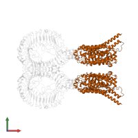 Protein unc-93 homolog B1 in PDB entry 7cyn, assembly 1, front view.