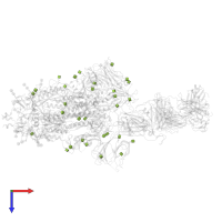 2-acetamido-2-deoxy-beta-D-glucopyranose in PDB entry 7czr, assembly 1, top view.