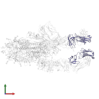 Ig-like domain-containing protein in PDB entry 7czu, assembly 1, front view.