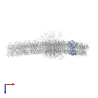 Chlorophyll a-b binding protein, chloroplastic in PDB entry 7d0j, assembly 1, top view.