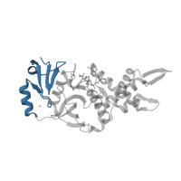 The deposited structure of PDB entry 7d0p contains 1 copy of Pfam domain PF17772 (MYST family zinc finger domain) in Histone acetyltransferase KAT7. Showing 1 copy in chain A.