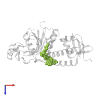 propionyl Coenzyme A in PDB entry 7d0p, assembly 1, top view.
