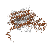 The deposited structure of PDB entry 7d1u contains 2 copies of Pfam domain PF00421 (Photosystem II protein) in Photosystem II CP43 reaction center protein. Showing 1 copy in chain C.