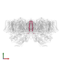 Photosystem II reaction center protein M in PDB entry 7d1u, assembly 1, front view.