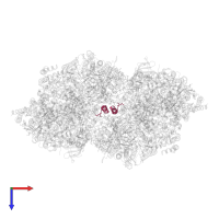 Photosystem II reaction center protein M in PDB entry 7d1u, assembly 1, top view.