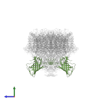 Photosystem II manganese-stabilizing polypeptide in PDB entry 7d1u, assembly 1, side view.