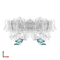 Photosystem II 12 kDa extrinsic protein in PDB entry 7d1u, assembly 1, front view.