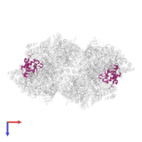 Cytochrome c-550 in PDB entry 7d1u, assembly 1, top view.