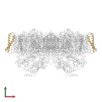 Photosystem II reaction center protein Z in PDB entry 7d1u, assembly 1, front view.