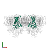 Photosystem II protein D1 in PDB entry 7d1u, assembly 1, front view.