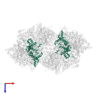 Photosystem II protein D1 in PDB entry 7d1u, assembly 1, top view.