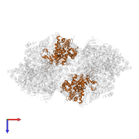 Photosystem II CP47 reaction center protein in PDB entry 7d1u, assembly 1, top view.