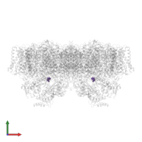 Modified residue HSK in PDB entry 7d1u, assembly 1, front view.