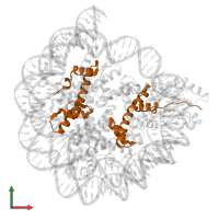 Histone H4 in PDB entry 7d1z, assembly 1, front view.